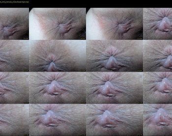 dayanna_sweet — Chaturbate Female strip rec, Jan 4, 2019 23:12