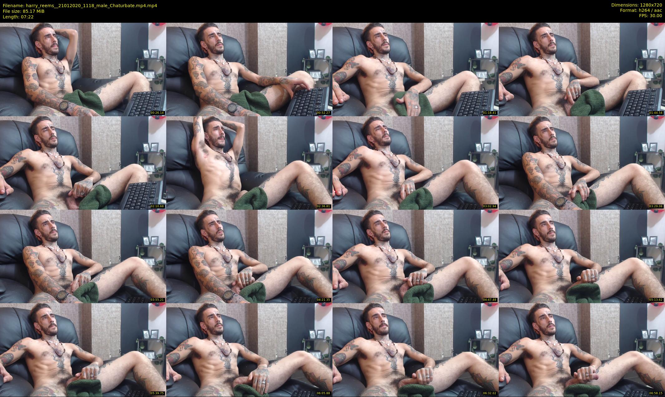 harry_reems_ — 29 minute Chaturbate Male strip rec, 720p, Jan 21, 2020