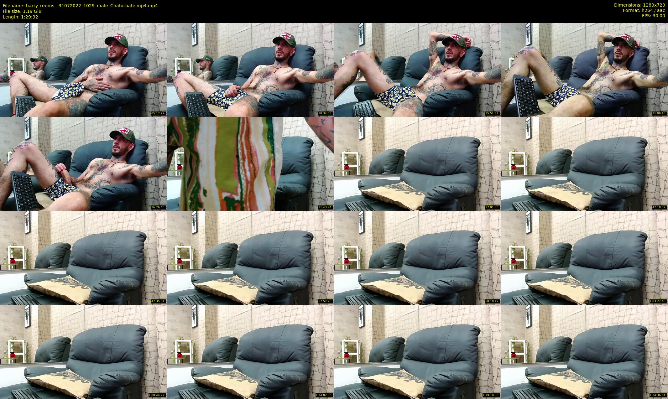 harry_reems_ — 90 minute Chaturbate Male strip rec, 720p, Jul 31, 2022
