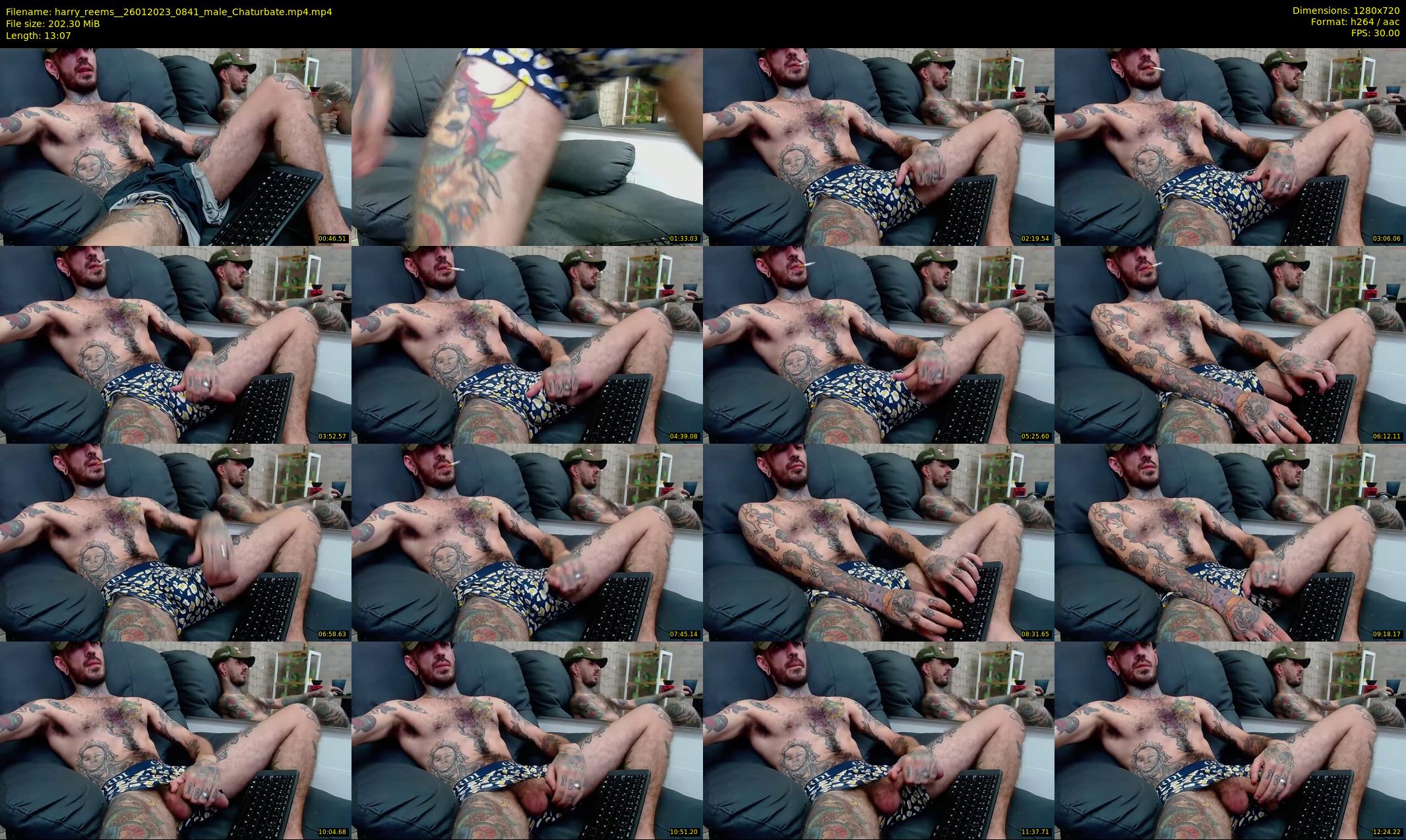 harry_reems_ — 14 minute Chaturbate Male strip rec, 720p, Jan 26, 2023
