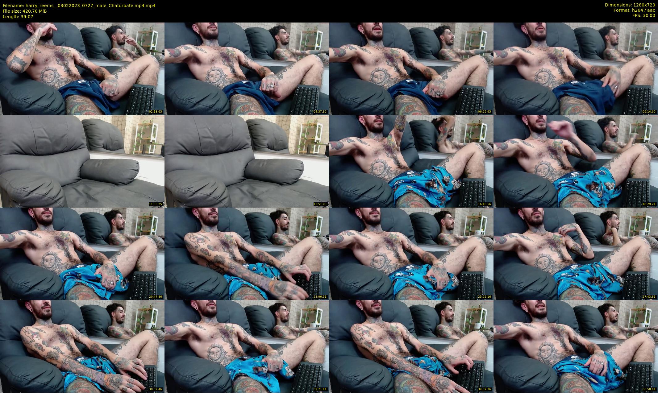 harry_reems_ — 40 minute Chaturbate Male strip rec, 720p, Feb 3, 2023