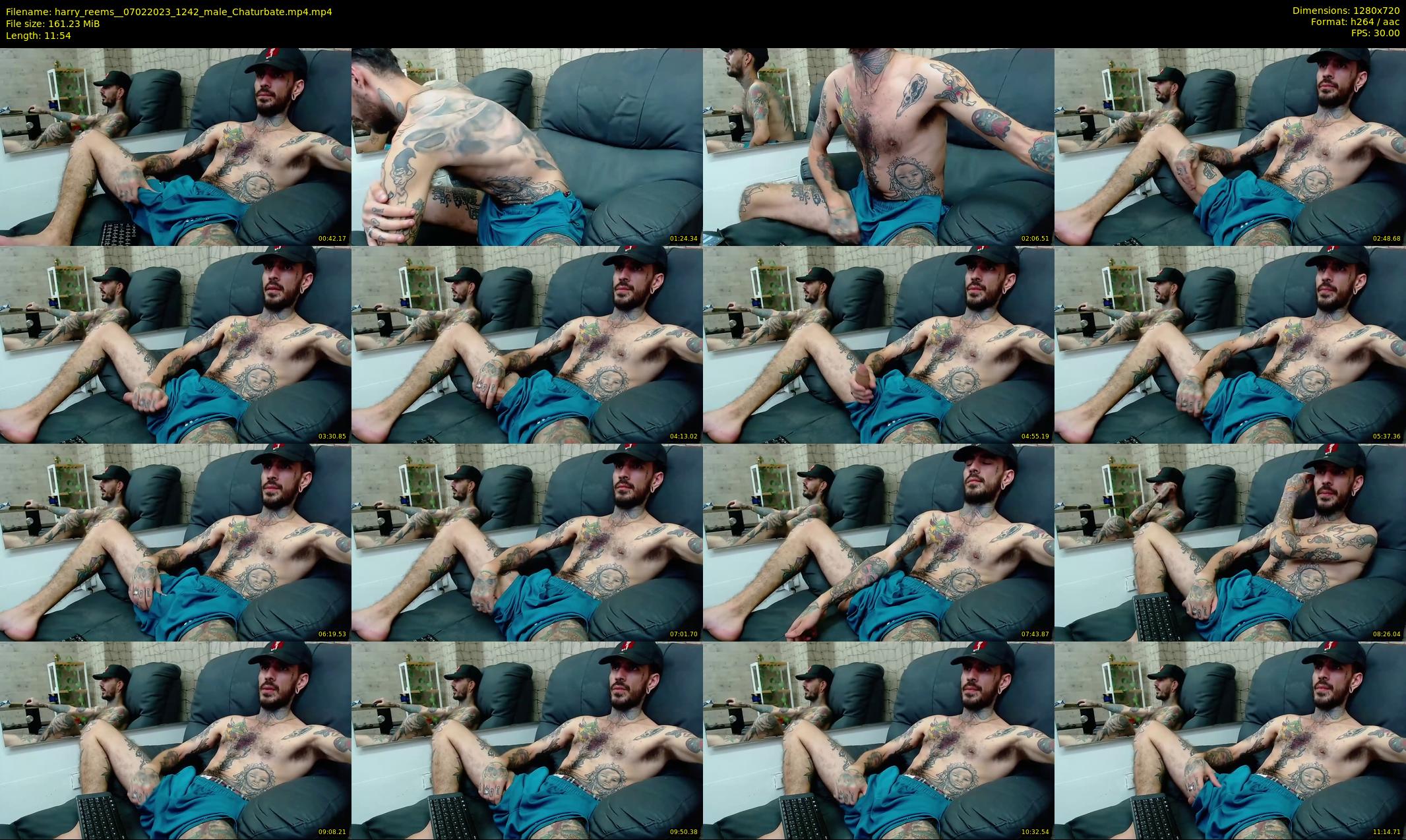 harry_reems_ — 12 minute Chaturbate Male strip rec, 720p, Feb 7, 2023