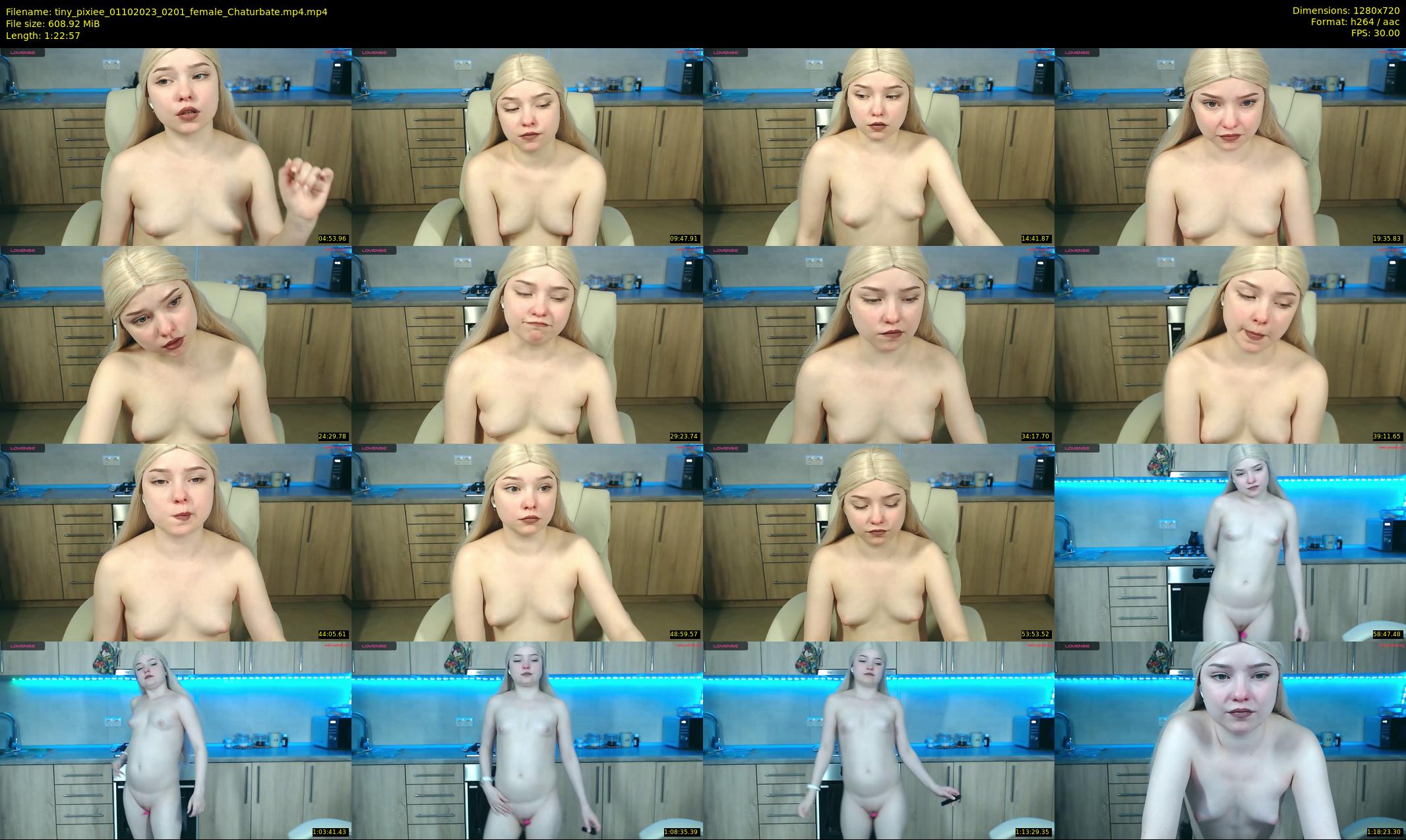 tiny_pixiee